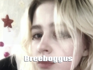Breeboggus