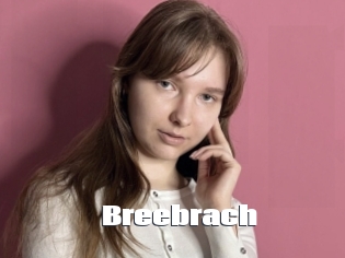 Breebrach