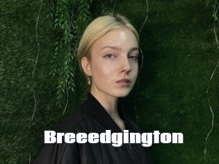 Breeedgington