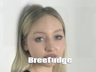 Breefudge