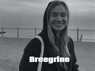 Breegrine
