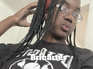 Bricarter