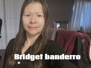 Bridget_banderro