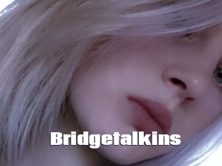 Bridgetalkins