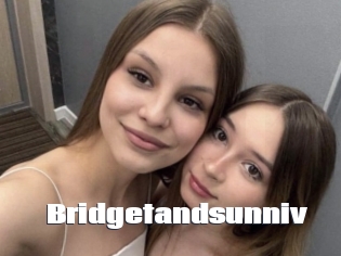 Bridgetandsunniv
