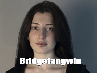 Bridgetangwin