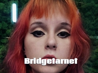 Bridgetarnet