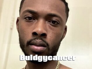 Buldgycancer