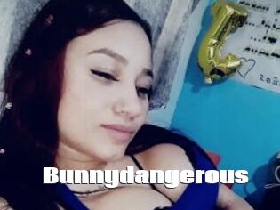 Bunnydangerous