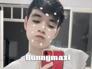 Bunnymaxi