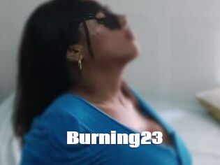 Burning23