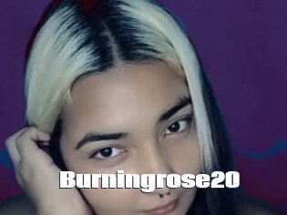Burningrose20