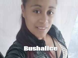 Bushalice