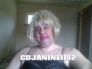 CDJANINE1182 The hot porn