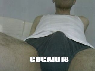 CUCAIO18