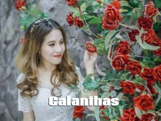 Calanthas