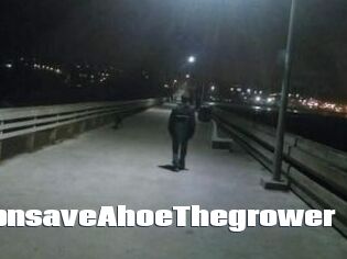 Capn_save_A_hoe_The_grower