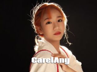 CarelAny