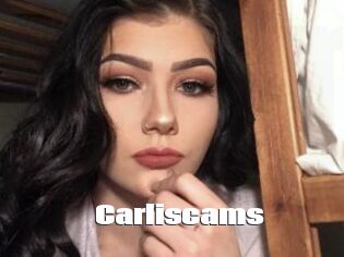 Carliscams