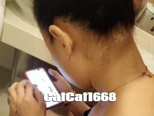 CatCat1668