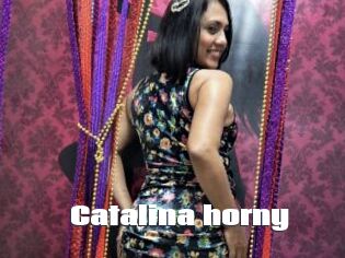 Catalina_horny