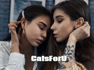 CatsForU