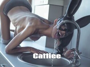 Cattiee