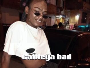 Cattleya_bad
