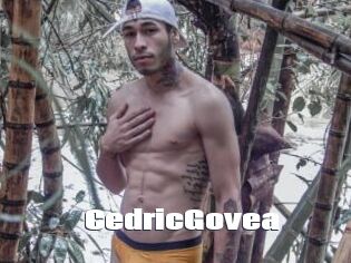 CedricGovea