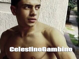 CelestinoGambino The hot porn