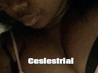 Ceslestrial
