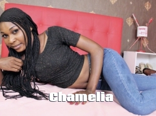 Chamelia The hot porn