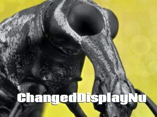 ChangedDisplayNu