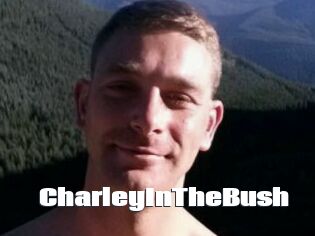 CharleyInTheBush
