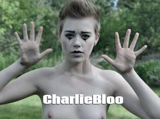 CharlieBloo