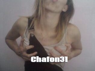 Chaton31