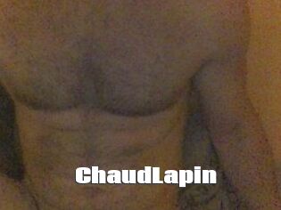 ChaudLapin