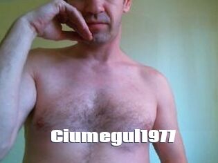 Ciumegul1977