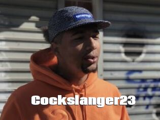 Cockslanger23