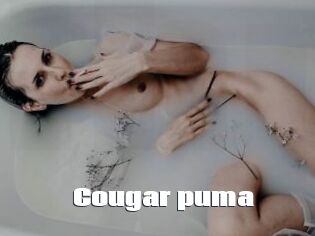 Cougar_puma