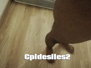 Cpldesiles2