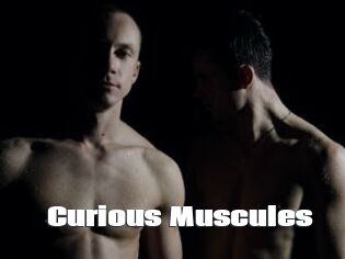Curious_Muscules
