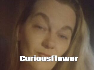 Curiousflower