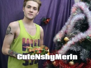 CuteNshyMerin