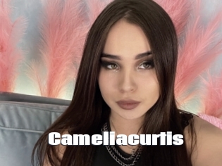Cameliacurtis