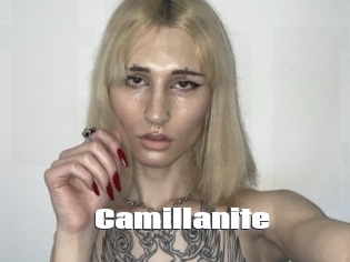 Camillanite