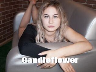 Candieflower