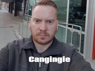 Cangingie