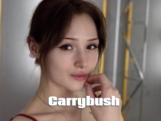 Carrybush