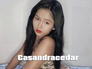 casandracedar The hot porn